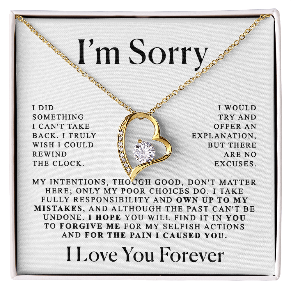 Apology Gift For Her - Heart necklace